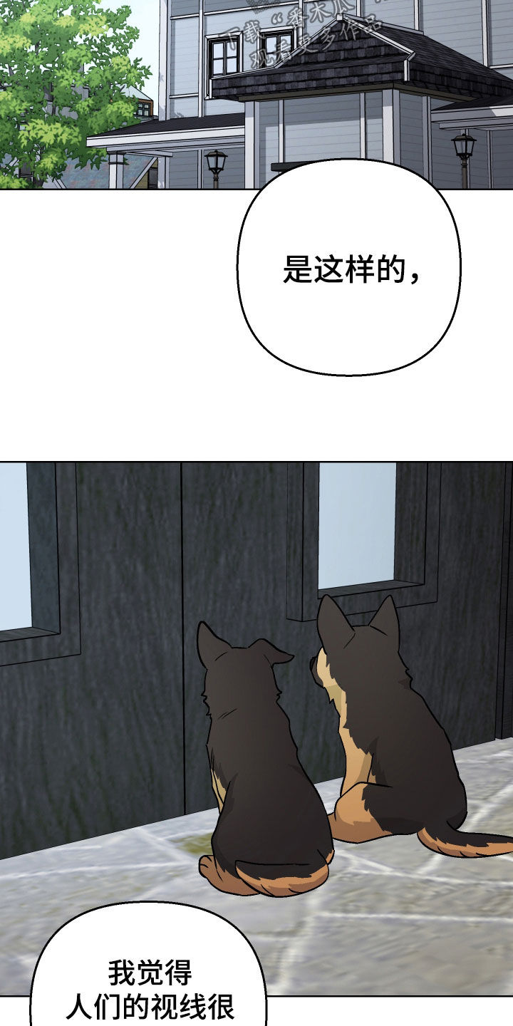 第166话18