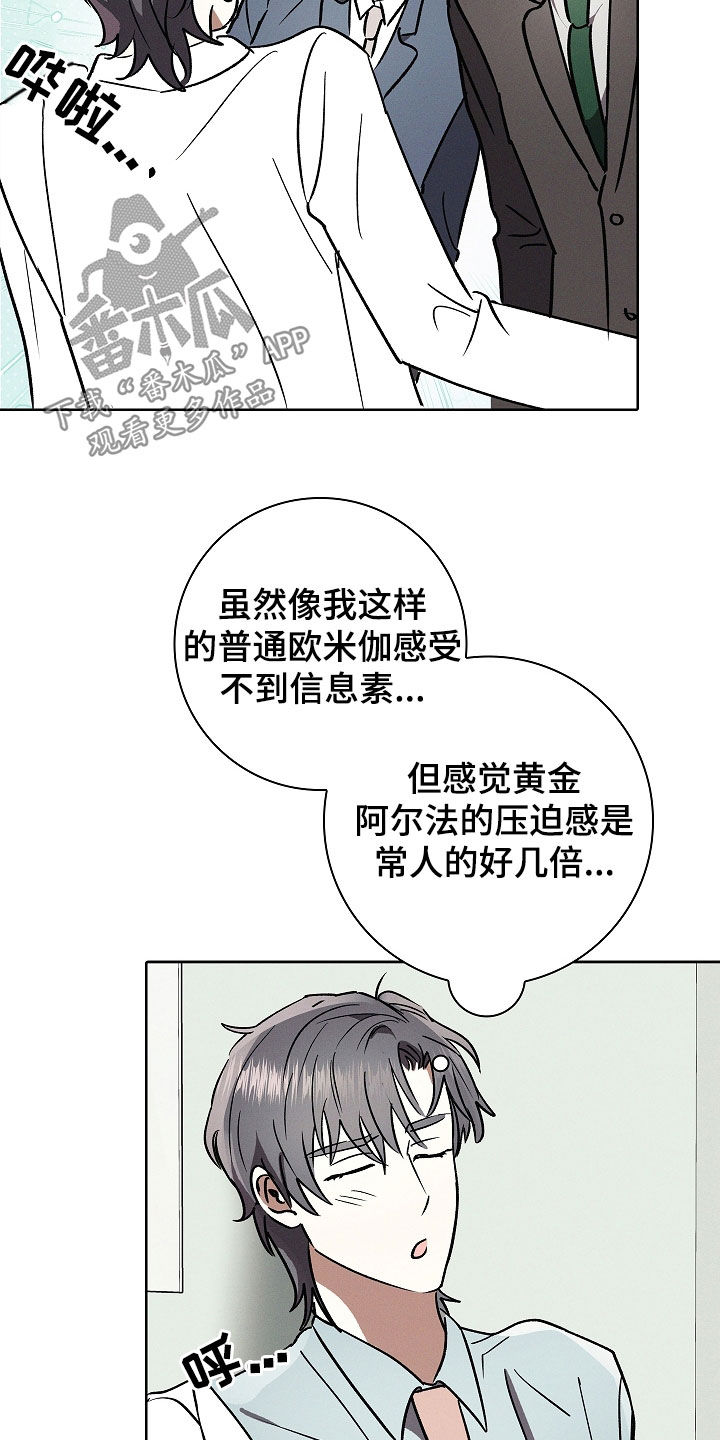 第104话6