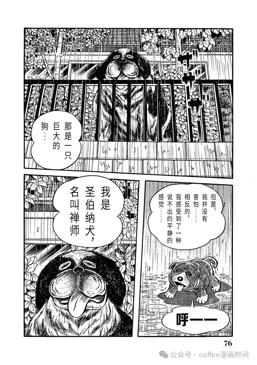 第5话 第12页