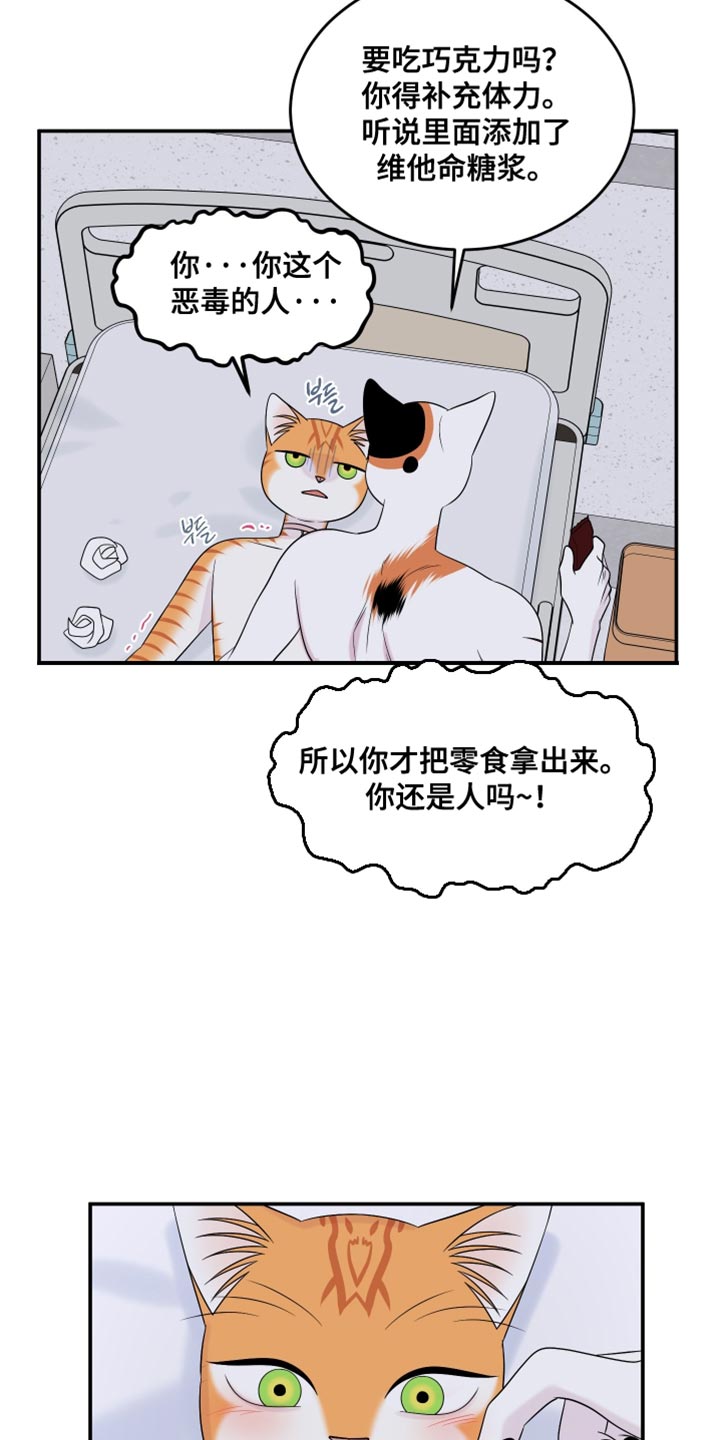 第168话11