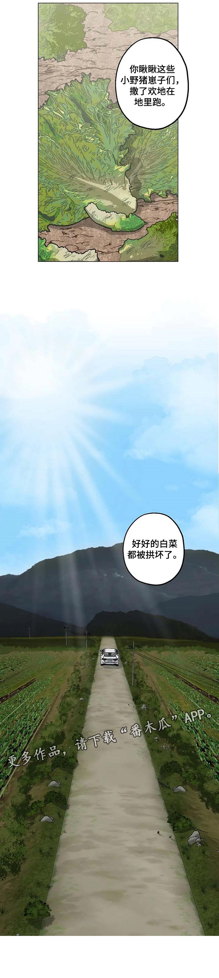 第29话6