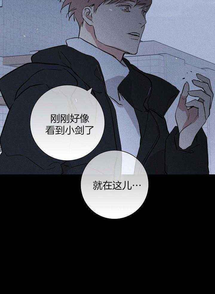 第118话11