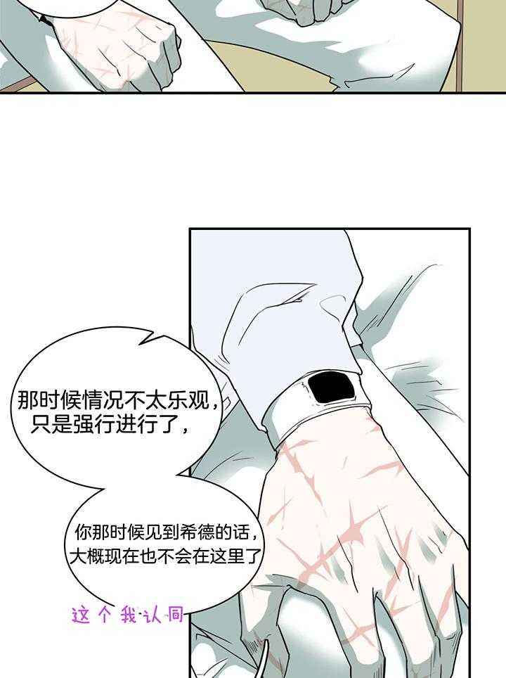 第240话11