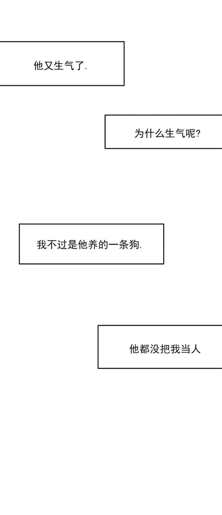 第115话11