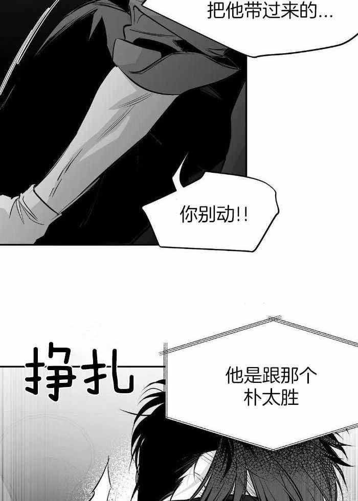 第167话5