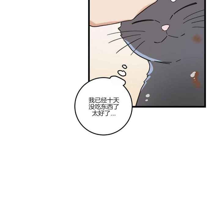 第35话13