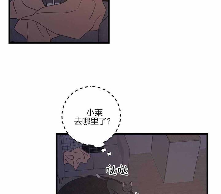 第41话22