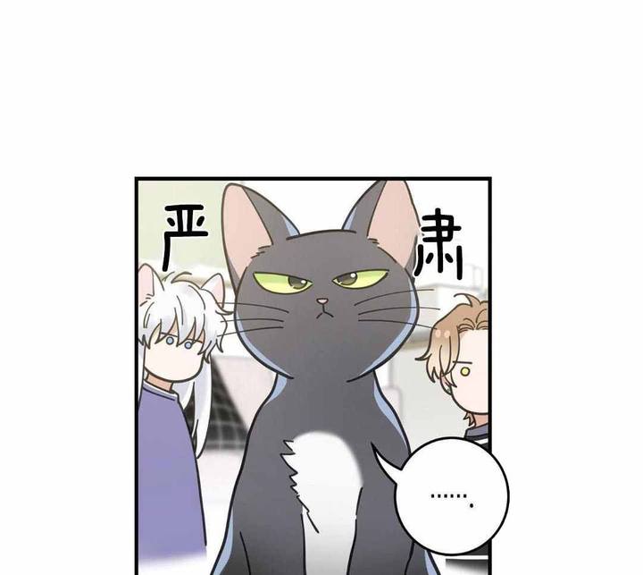 第56话28