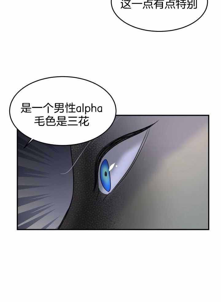 第30话2