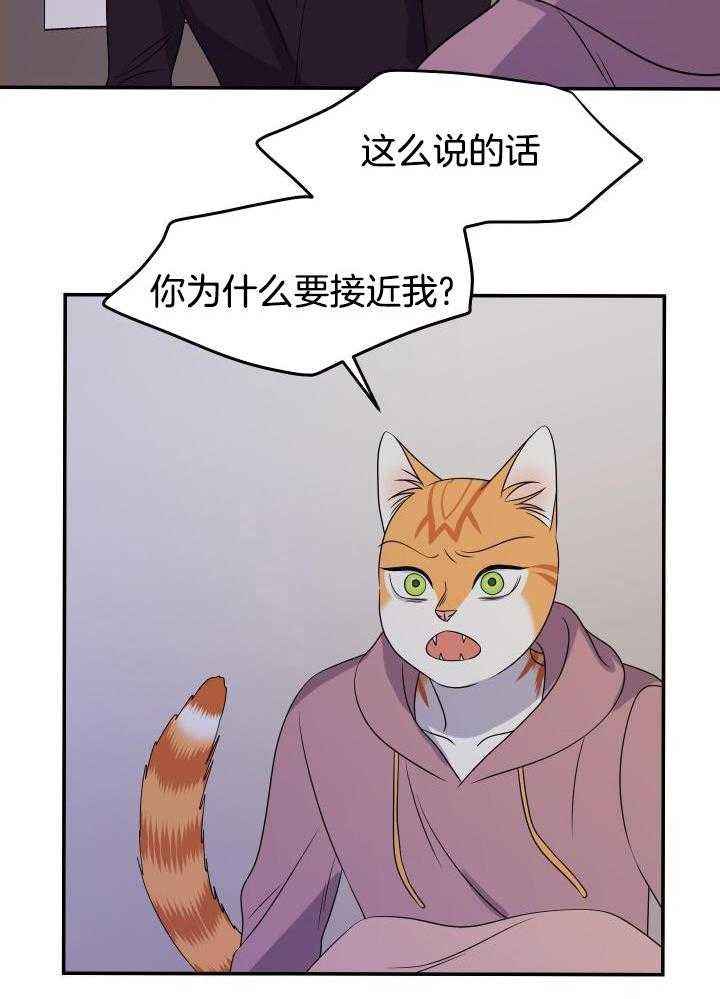 第31话9