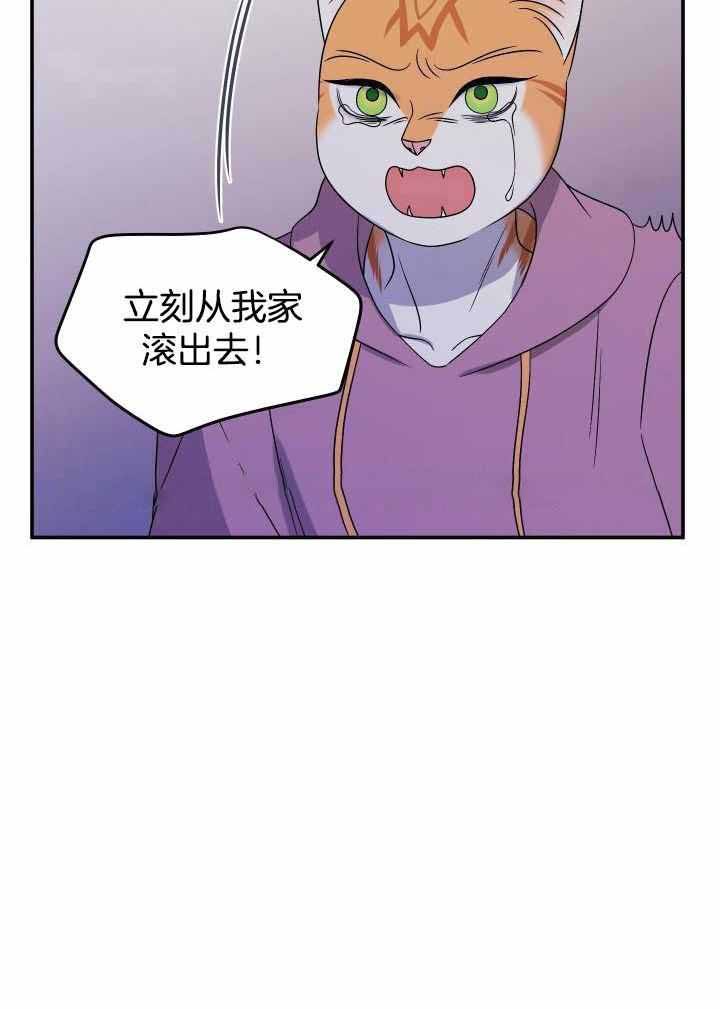 第31话25