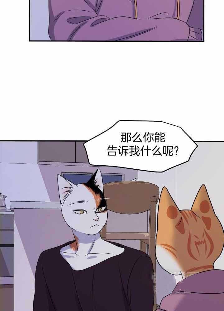 第31话8