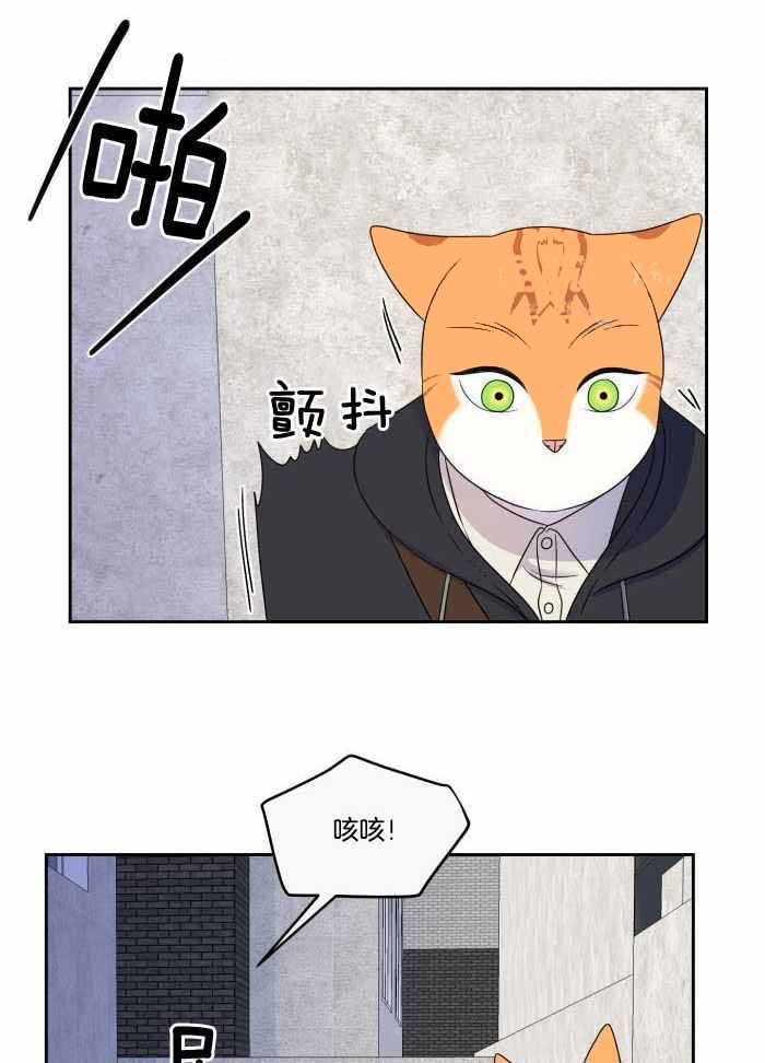 第46话13