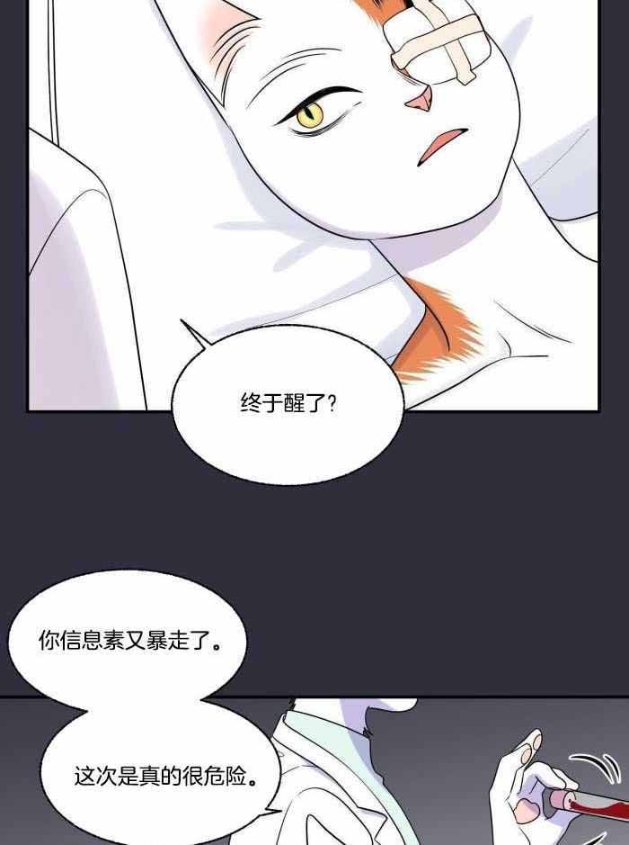 第55话24