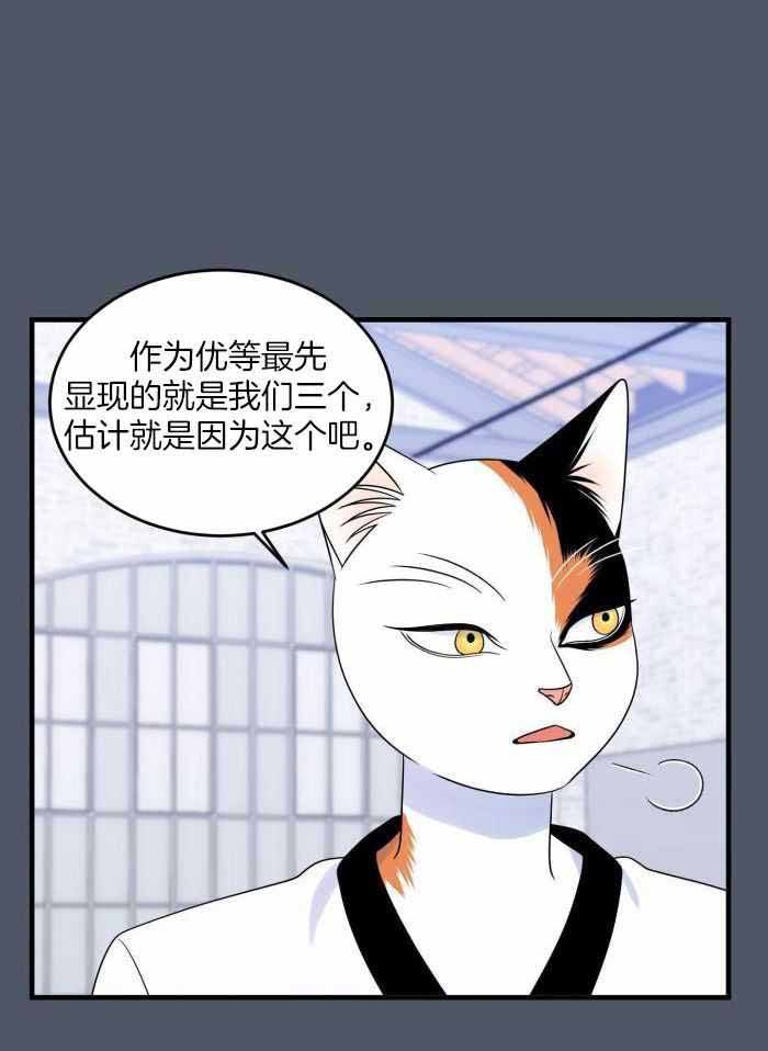 第82话0