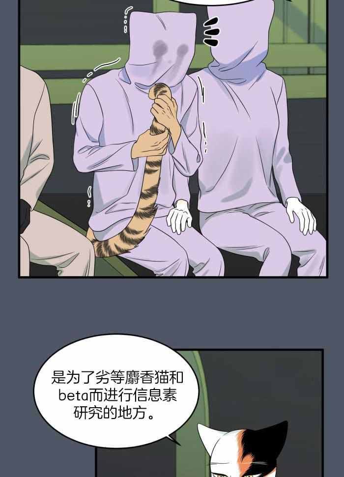 第85话15