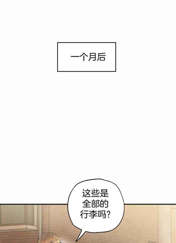 第163话17