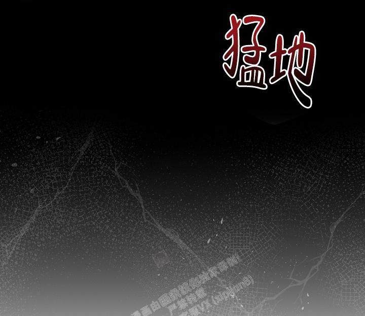 第41话24