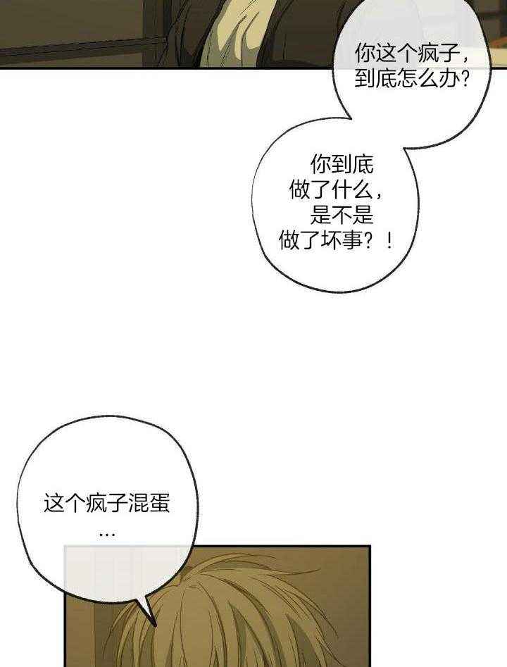 第204话12