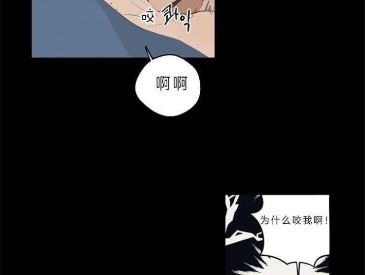 第39话19