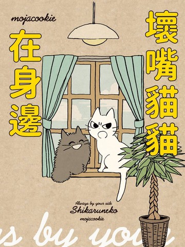 猫猫喜欢在身边坐着