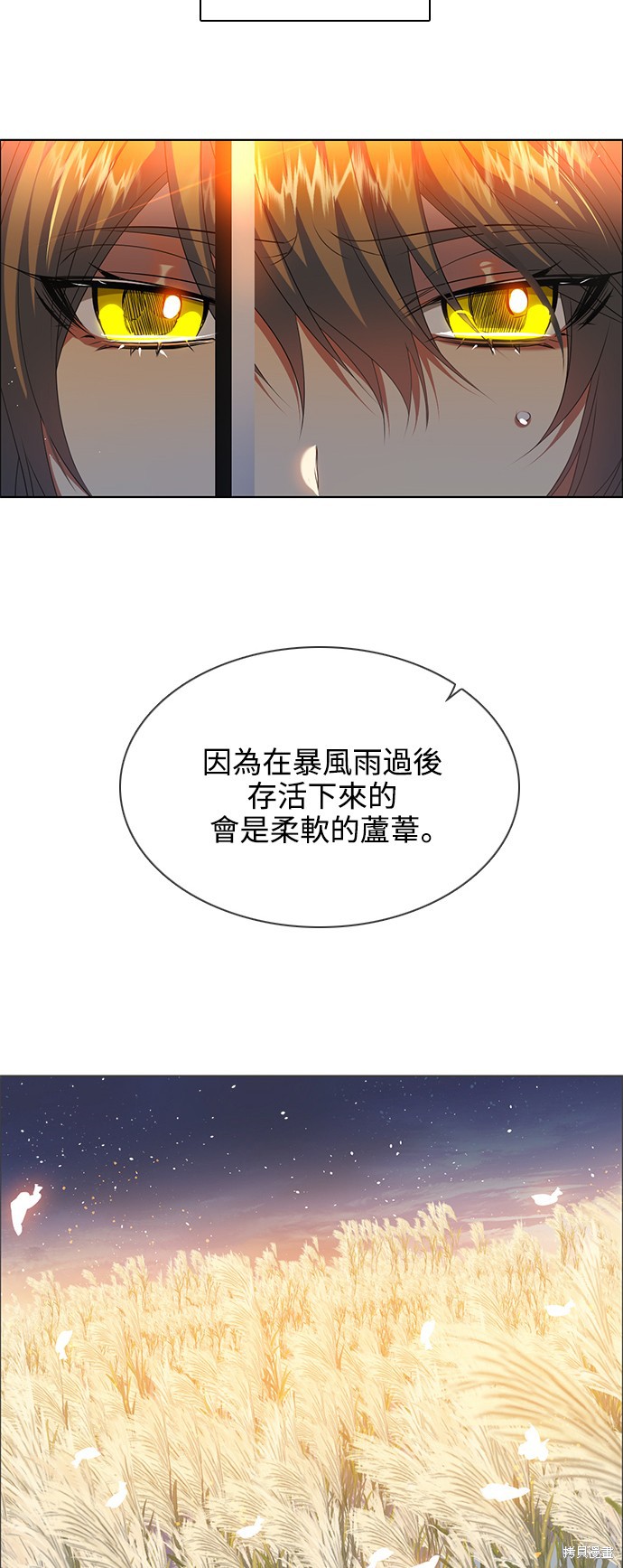 第241话41