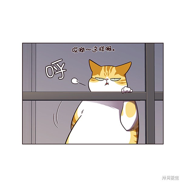 第55话24