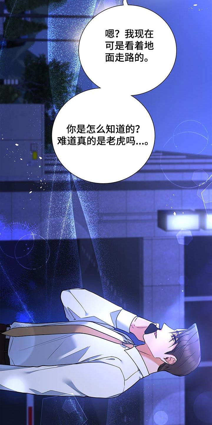 第119话12