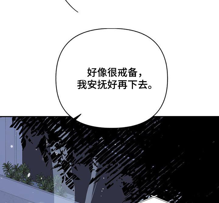 第81话17