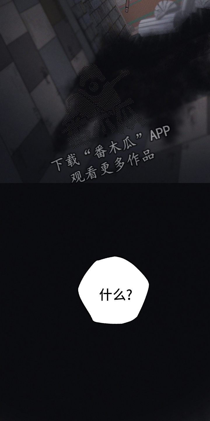 第54话17