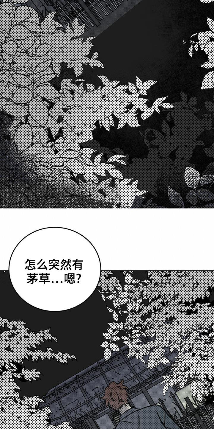 第54话8