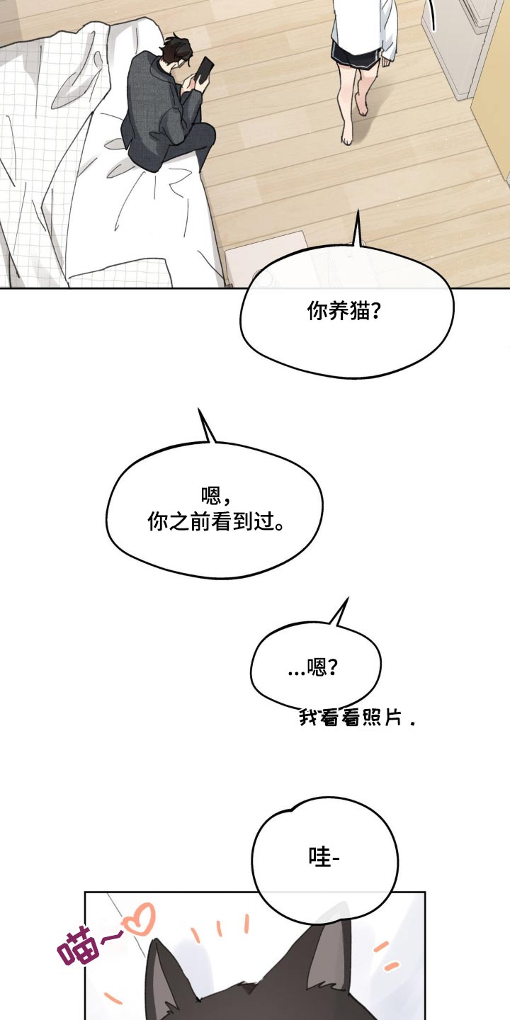 第216话19