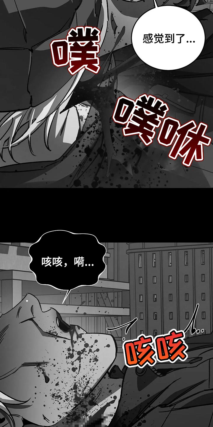 第116话21