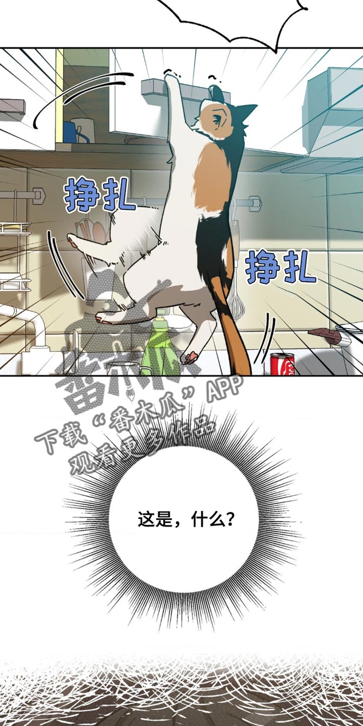 第171话27