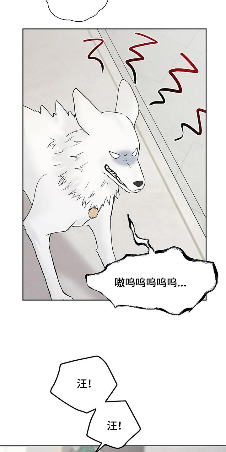 第119话20