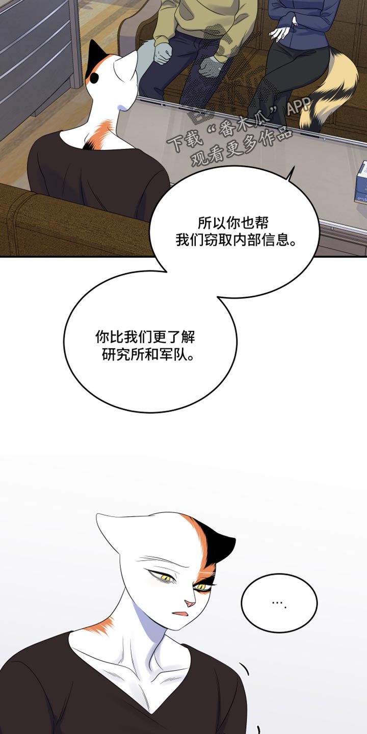 第117话12