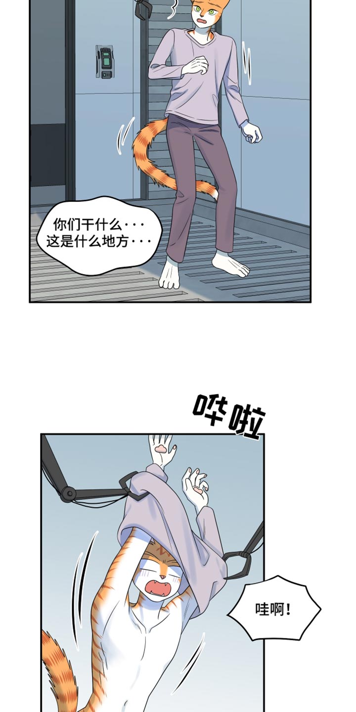 第118话2