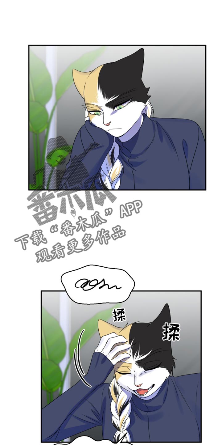 第116话0