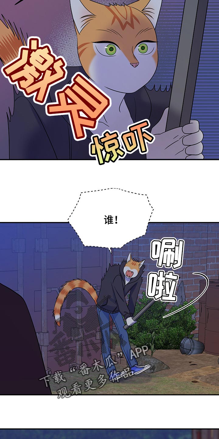 第35话13