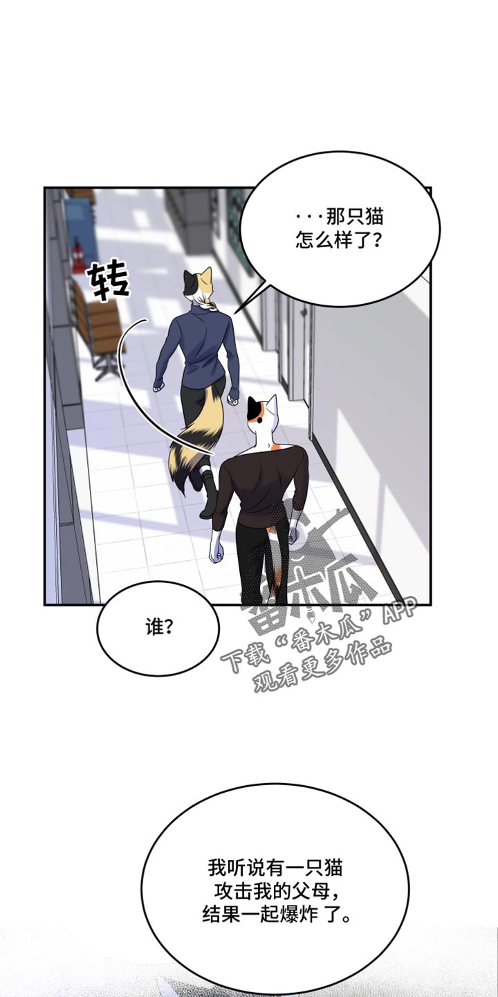 第116话15