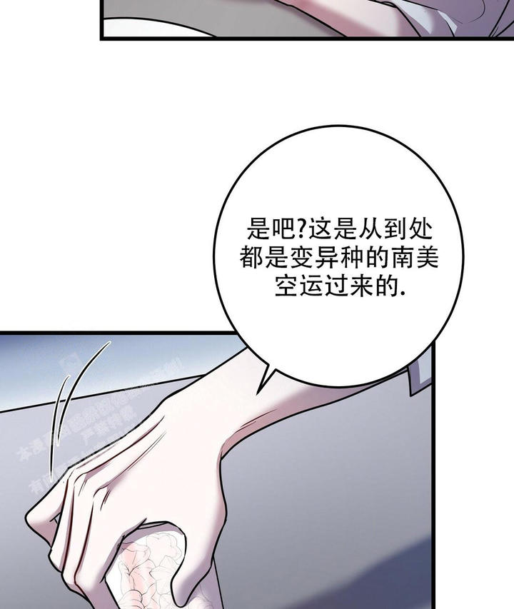 第49话27