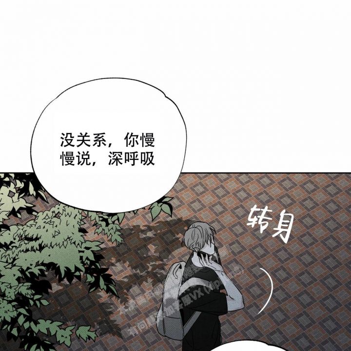 第49话12