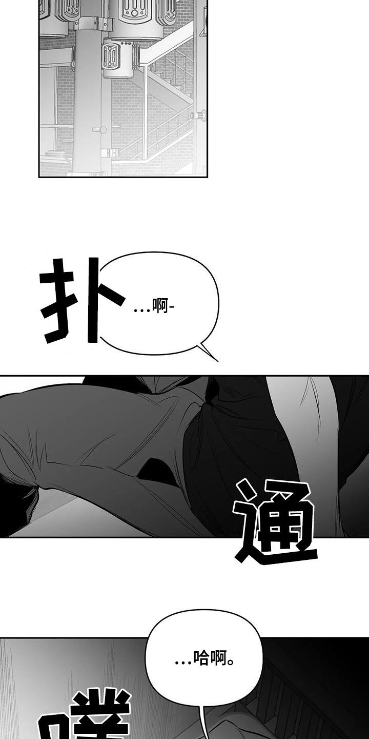 第170话5