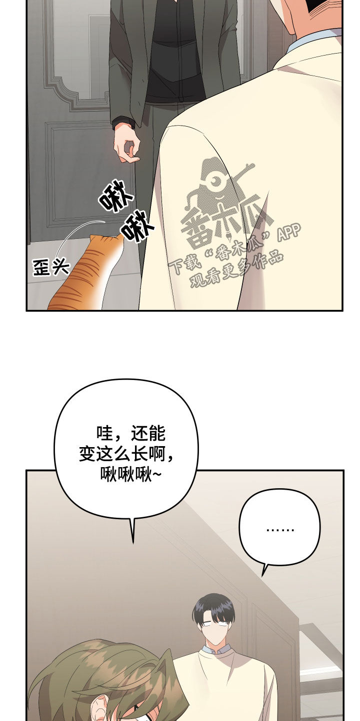 第115话4