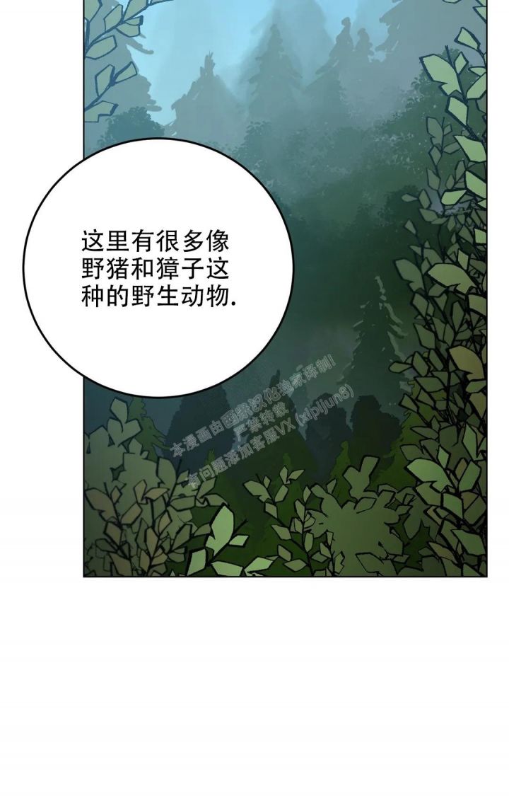 第115话36