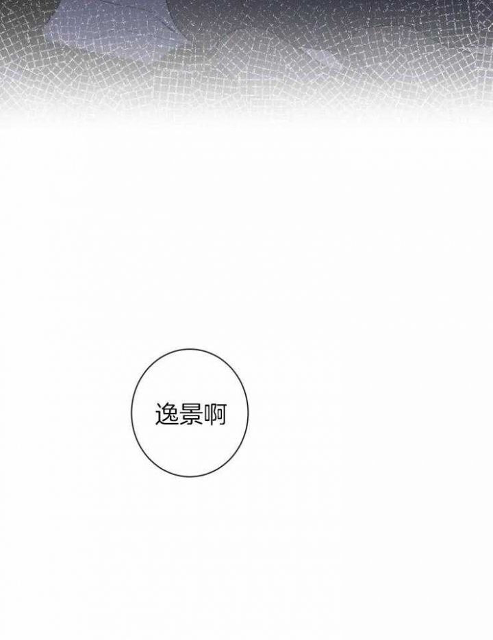 第41话14