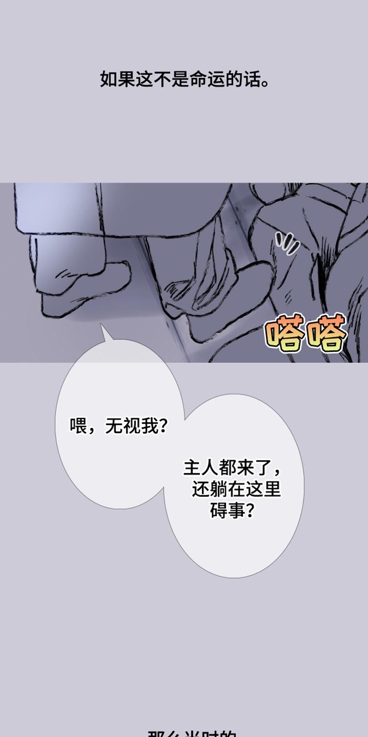 第163话12