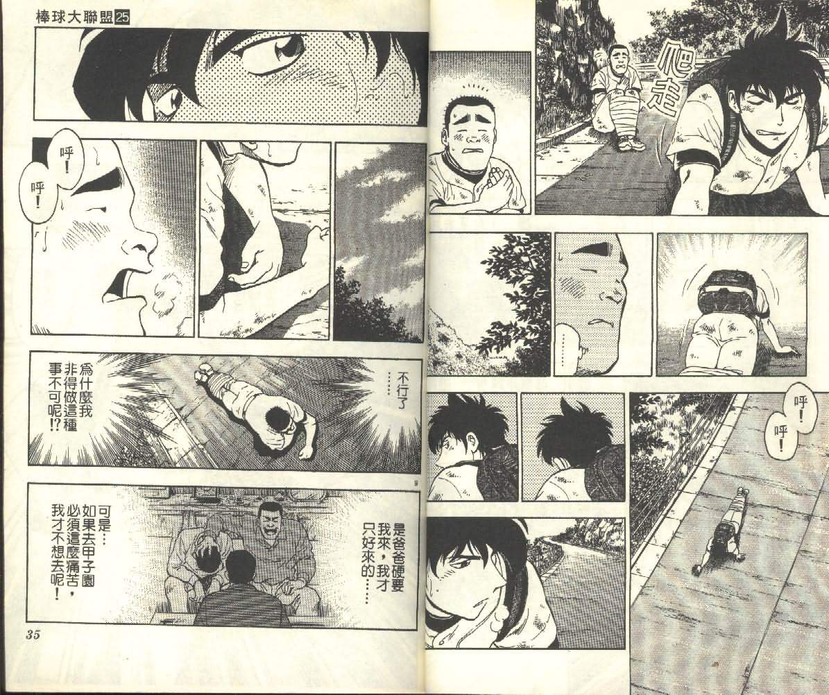 第25卷 第17页