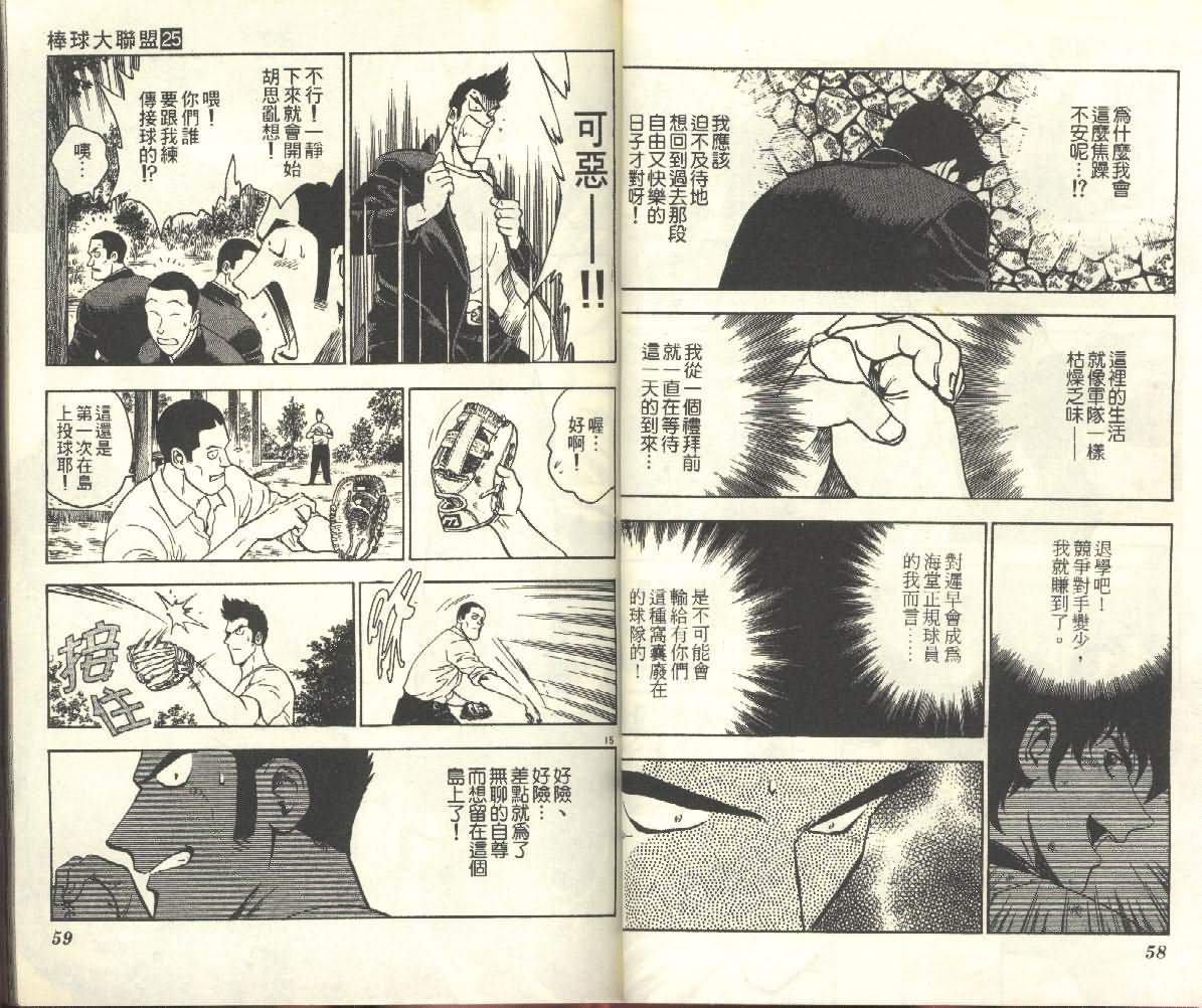 第25卷 第29页
