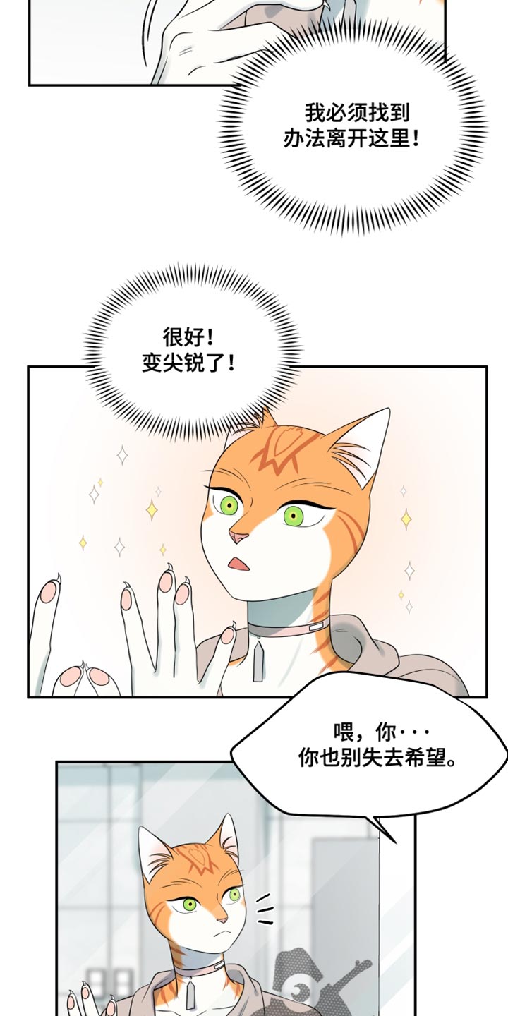 第134话8